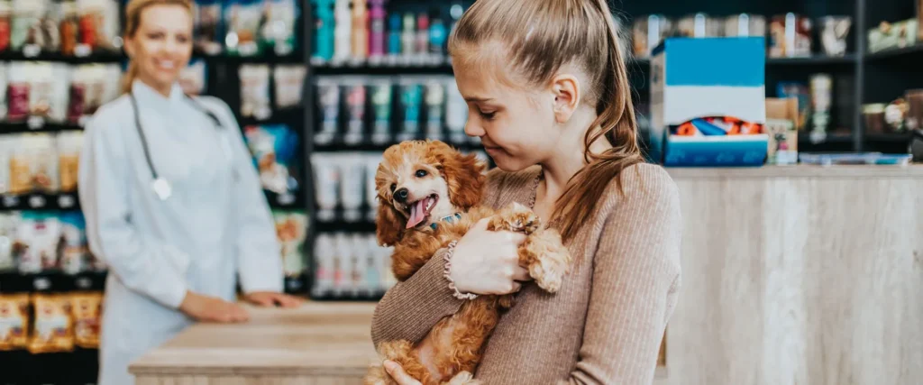 Création de sites e-commerce pour boutiques animales à Aix-en-Provence